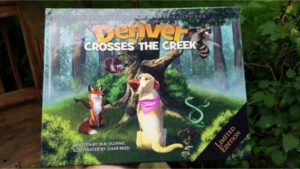 Denver Crosses the Creek